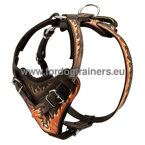 Stylish universal dog harness with Flame design