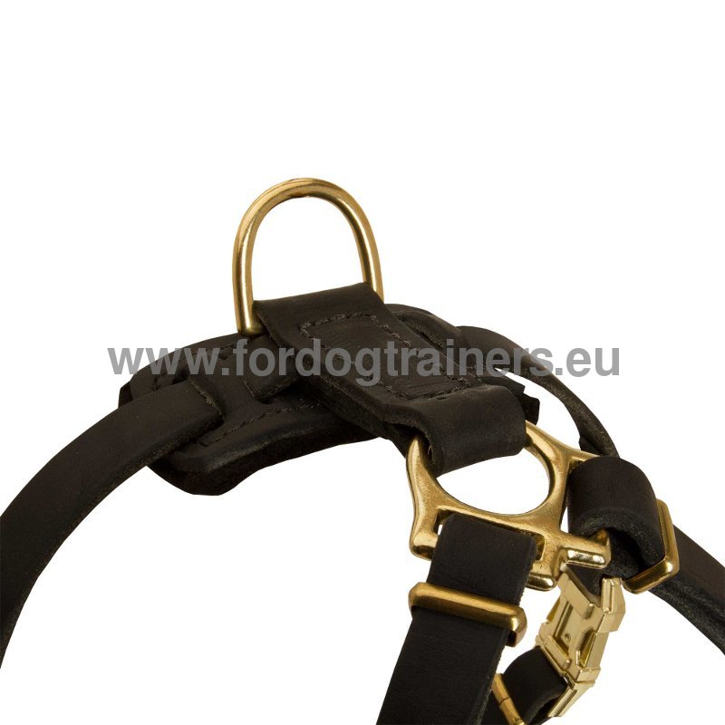 Harnais en cuir pour petites races | Harnais pour chiot Harnais en cuir pour petites races | Harnais pour chiot