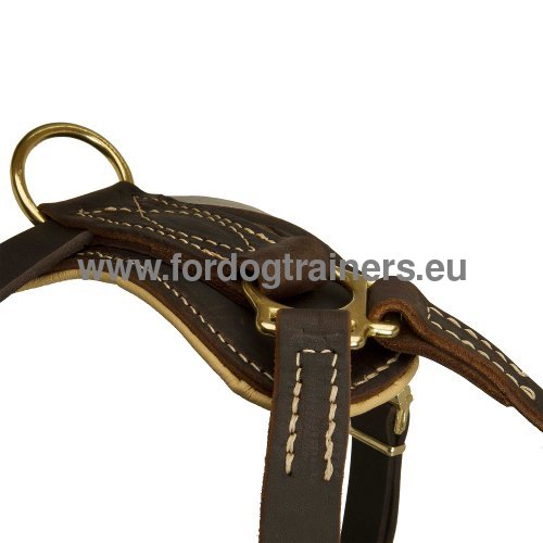 Wonderful dog harness for
Amstaff - genuine leather and brass