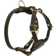 Puppy Harness Leather