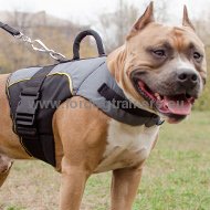 Amstaff Nylon Outdoor dog harness for tracking with extra handle