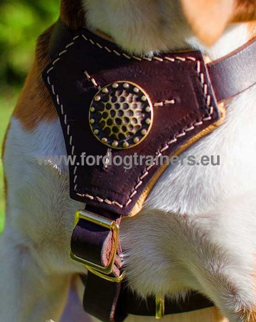 Top Quality Beagle Harness