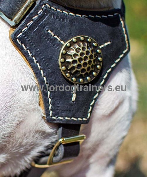 French Bulldog Durable Padded Harness