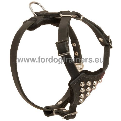 Solid Stylish Harness for Dog