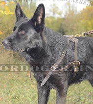 Leather dog harness for pulling for German Shepherd