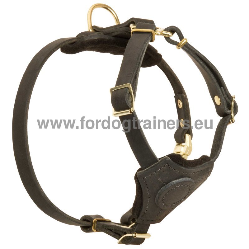 Harnais en cuir pour petites races | Harnais pour chiot Harnais en cuir pour petites races | Harnais pour chiot