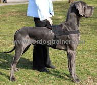 Great Dane Nylon Multifunctionele Honden Tuig☔