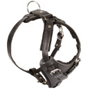 Agitation Attack Leather Dog Harness 2015 ▼