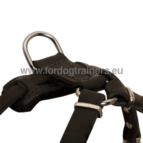 Small Dog Harness with Straps
