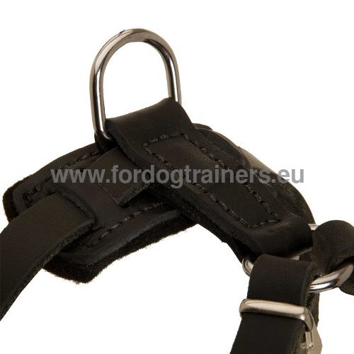 Adjustable harness Small Dog