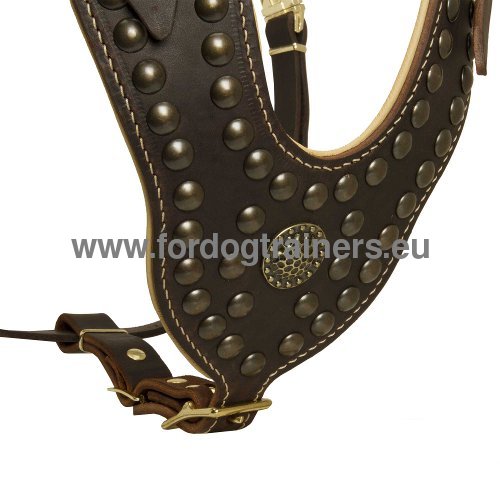 Functional Amstaff leather harness with studs
