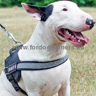 Nylon reflective multi-purpose dog K9 harness for Bull Terrier