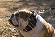 Engelse Bulldog Leren Halsband met Spikes ⇛