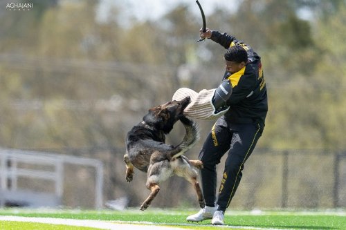 Hetzanzug fuer Schutzhund Training