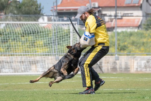 Hundefuehrer Anzug