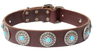 Cane Corsoleather dog collar with blue stones