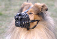 Collie Leichter Hundemaulkorb aus Leder M41