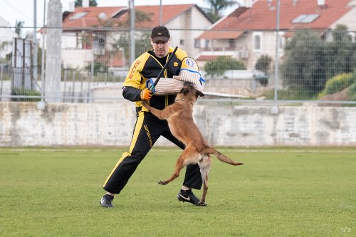 Hundetraineranzug fuer Hundesport