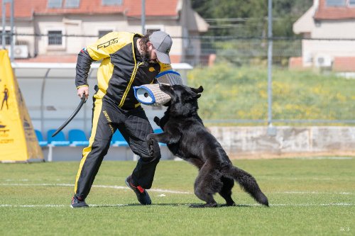 Hundetraining mit robuster Ausruestung