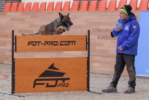 Dog Jump Training Barrier