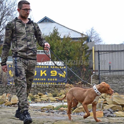 Laisse  ajuster en vrai cuir pour Bandog