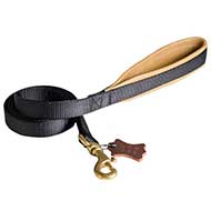 Nylon Dog Leash with Leather Handle | Lead for Walking