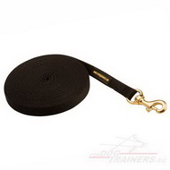 Durable Nylon Leash for Dogs