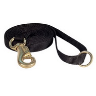Nylon Dog Leash with Reinforced Snap Hook
