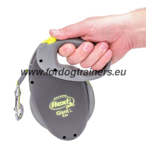 Retractable Leash for Dog