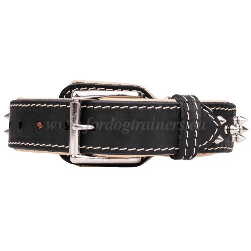 Large Dog Spiked Collar