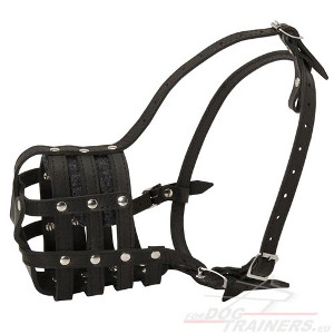 Leather Strap Dog
Muzzle