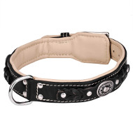 Luxurious Leather Collar Braided with Rivets