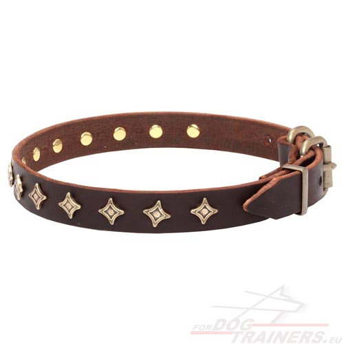 Dog Collar with Brass Stars