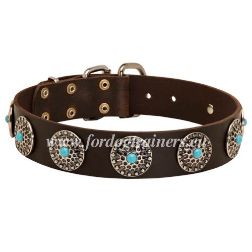 Leather Collar with Turquoise for husky