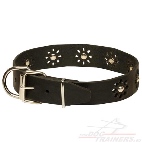 Black Leather Dog Collar with Tracery