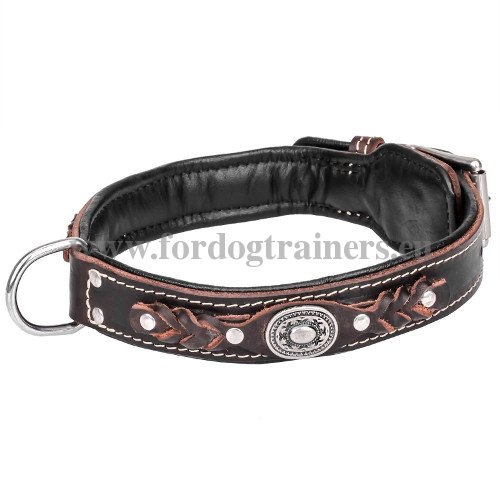 Exclusive Leather Dog Collar with Padding