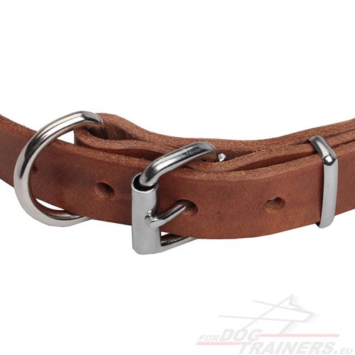 Dog Collar Buckle and D-ring Nickeled