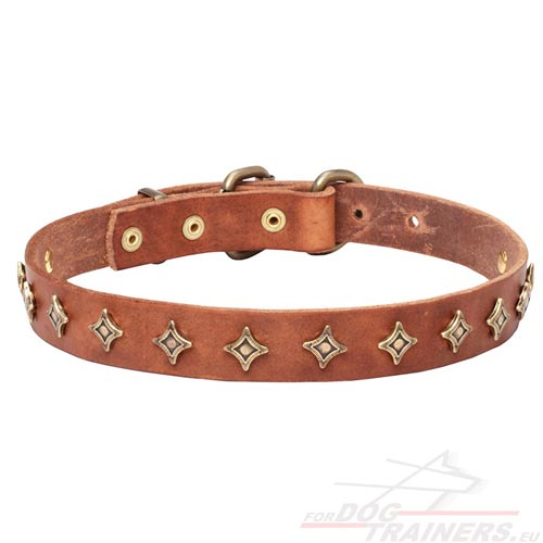 Tan Colored Leather Collar for Dog Show