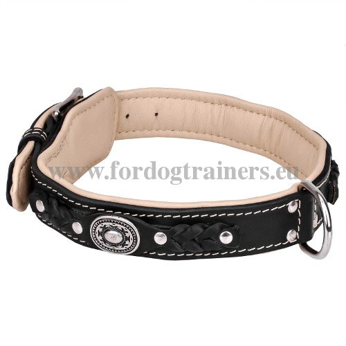 Luxurious Leather Collar for Large Dog