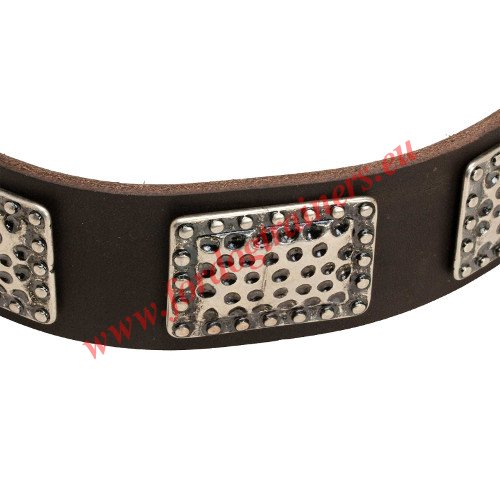 Handmade Dog Collar with Riveted Plates