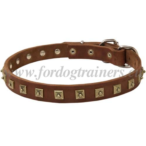 Studded Leather Dog Accessory