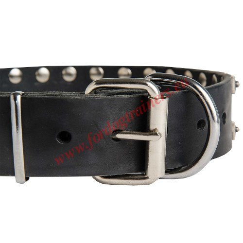 Custom Leaher Dog Collar