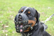 Multifunctional Leather Basket Muzzle for Rottweiler