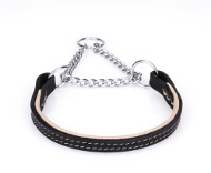 Padded Martingale Collar for Dogs