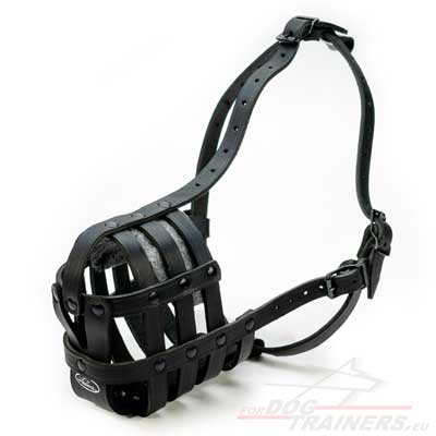 Leather Muzzle for Dog Training Simple