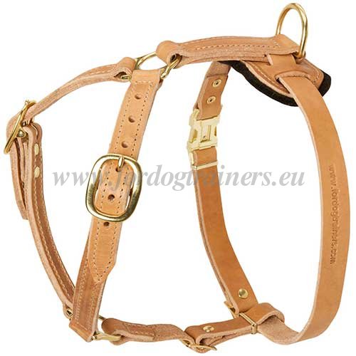 Leather Dog Step In Harness Tan