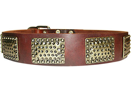 Leather dog collar with vintage plates