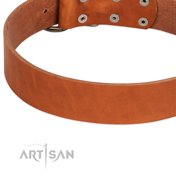 Light Brown Collar for Dog Leather