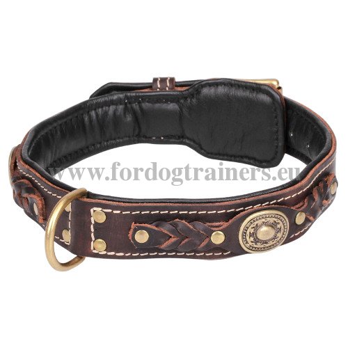 Luxurious Leather Dog Collar with Brass Buckle