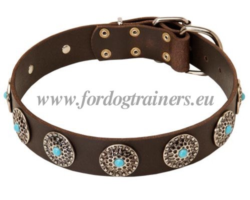 Stud Collar for Dogs Handmade Turquoise